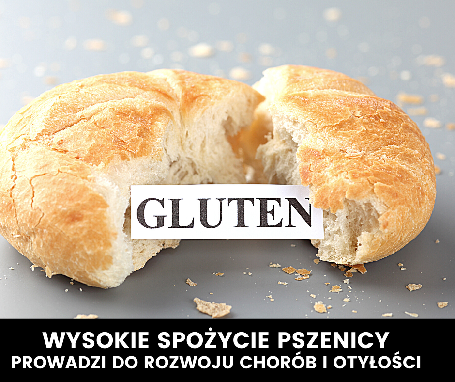 Gluten. Dobry czy Zły?