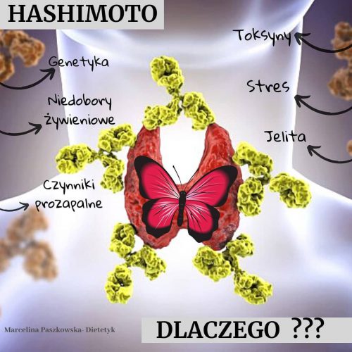 Hashimoto dlaczego