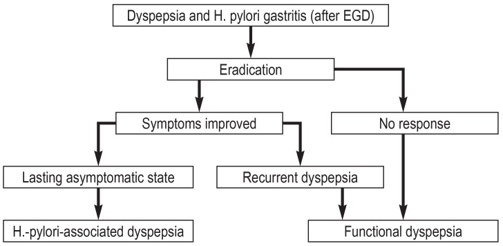 Helicobacter Pylori w gabinecie Dietetyka