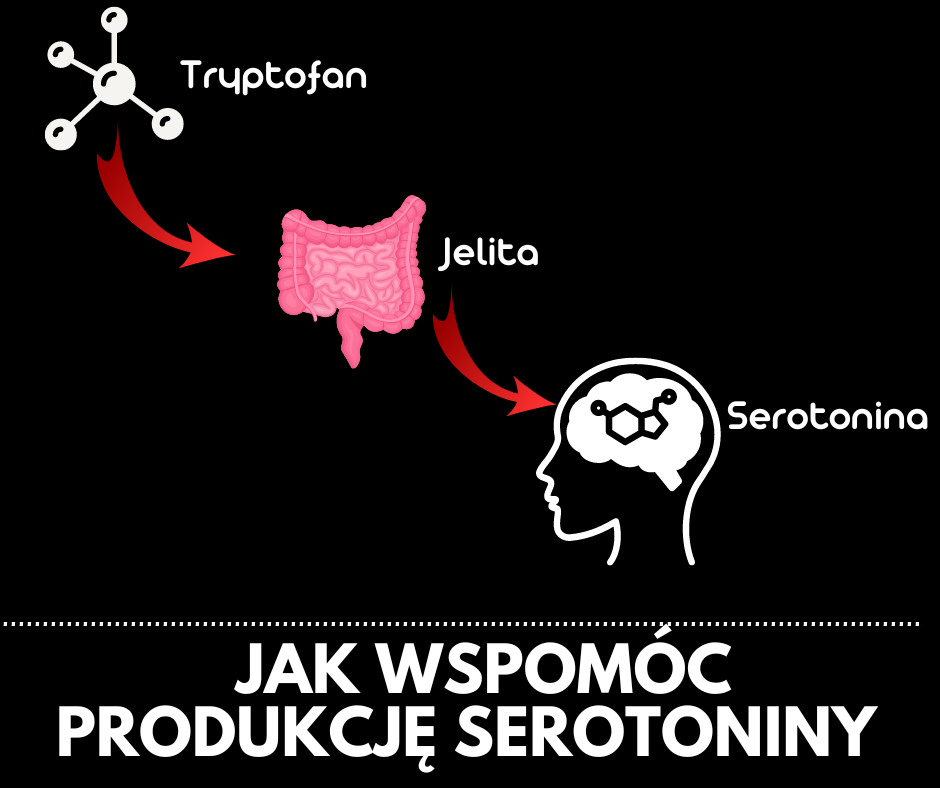 serotonina w mózgu