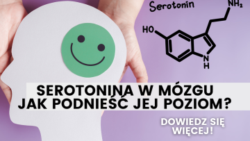 serotonina w mózgu