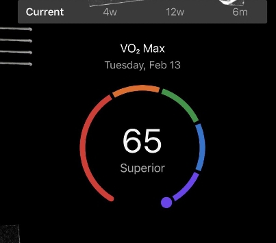 VO2max a długowieczność