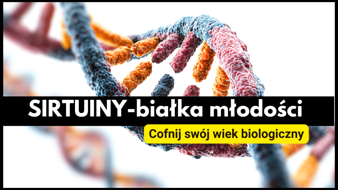 Sirtuiny a długowieczność