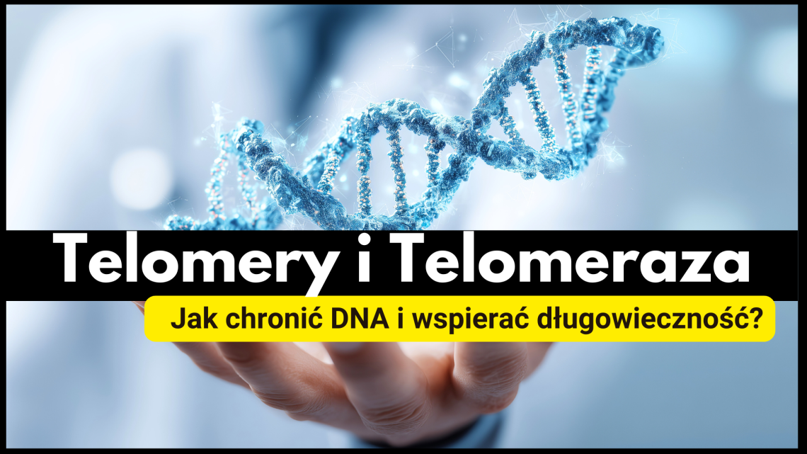 Aktywność fizyczna a telomeraza – jak trening wydłuża życie na poziomie komórkowym